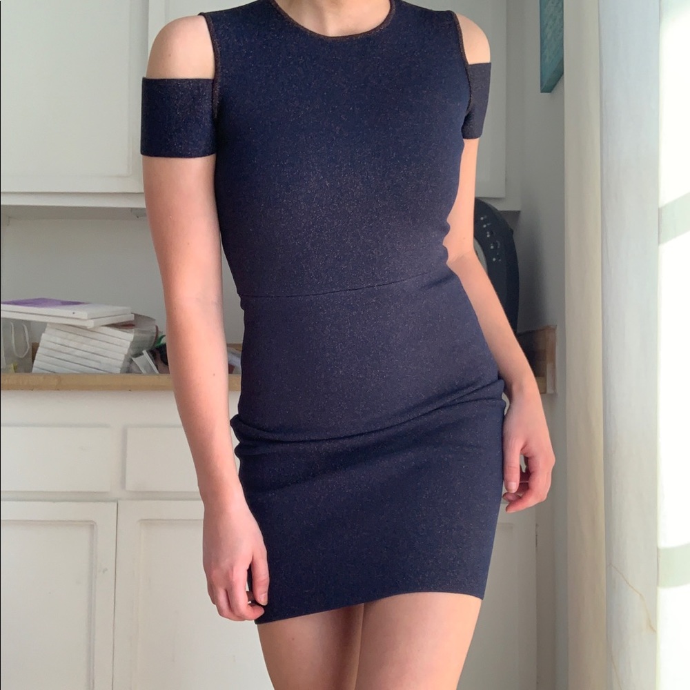 BCBG Maxazria Elegant Bodycon Dress
